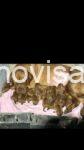 WhatsApp Image 2025-08-22 at 14.01.42