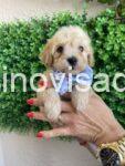 viber_image_2025-08-01_00-12-37-594