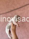 viber_image_2025-08-14_13-03-49-129