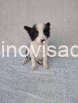 viber_image_2025-08-17_17-44-06-804
