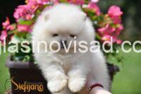 viber_image_2025-08-16_22-42-45-783