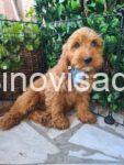viber_image_2025-07-11_20-06-16-554-768x1024-1