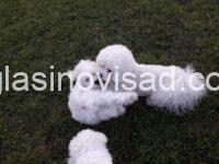 65cdb6b6-0d7c-4c08-a192-17d2b6136435