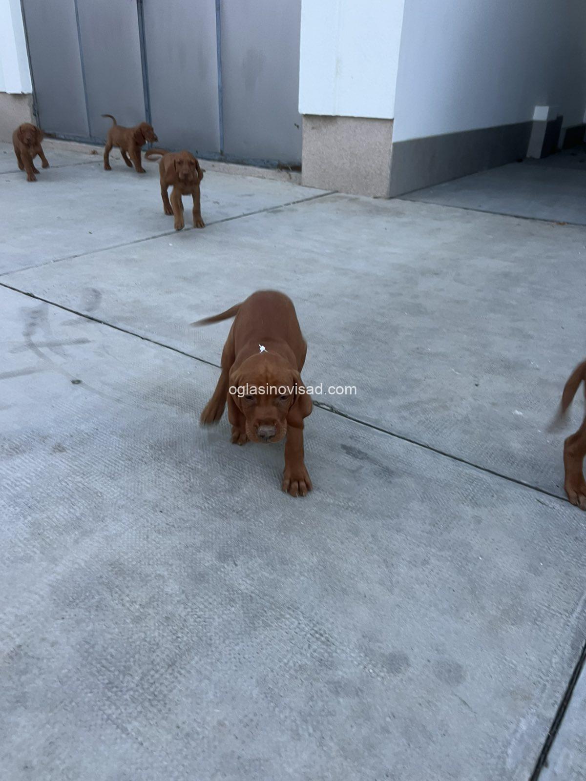1000110993
