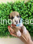 viber_image_2025-08-02_21-15-21-861