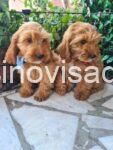 viber_image_2025-07-11_20-06-16-586-768x1024