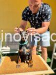 viber_image_2025-08-28_14-58-16-713