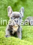 viber_image_2025-08-07_20-22-14-095