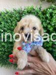 viber_image_2025-08-01_00-12-37-859