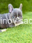 viber_image_2025-08-07_20-22-13-450