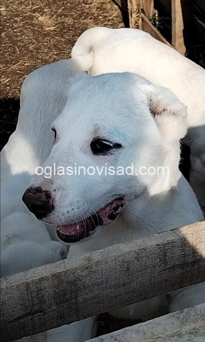 viber_slika_2025-08-30_13-45-43-199