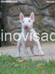 viber_image_2025-08-12_19-39-24-729