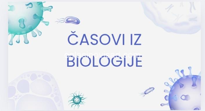 Screenshot_20250829-114106_Canva