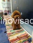 viber_image_2025-07-28_17-24-19-601
