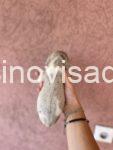viber_image_2025-08-14_13-03-48-835