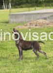 f15da38b-4f2b-48d4-b3a6-7cad35e29954