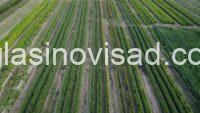 viber_slika_2025-09-07_23-36-24-023