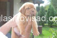 viber_image_2025-09-22_21-31-07-547