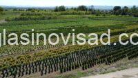 viber_slika_2025-09-07_23-36-24-258