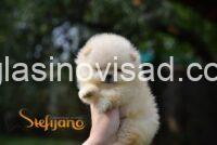 viber_image_2025-09-01_00-31-32-307