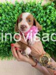 viber_image_2025-08-30_12-06-07-789