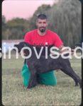 4sava