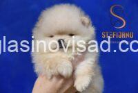 viber_image_2025-09-01_00-31-45-555
