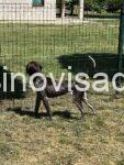 a22c270a-c6da-4bc7-af5f-ce5044ca66d3