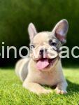 viber_image_2025-08-27_17-23-30-136-768x1024-1
