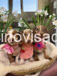 viber_image_2025-08-30_12-05-01-555