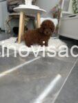 viber_image_2025-08-28_20-44-00-543