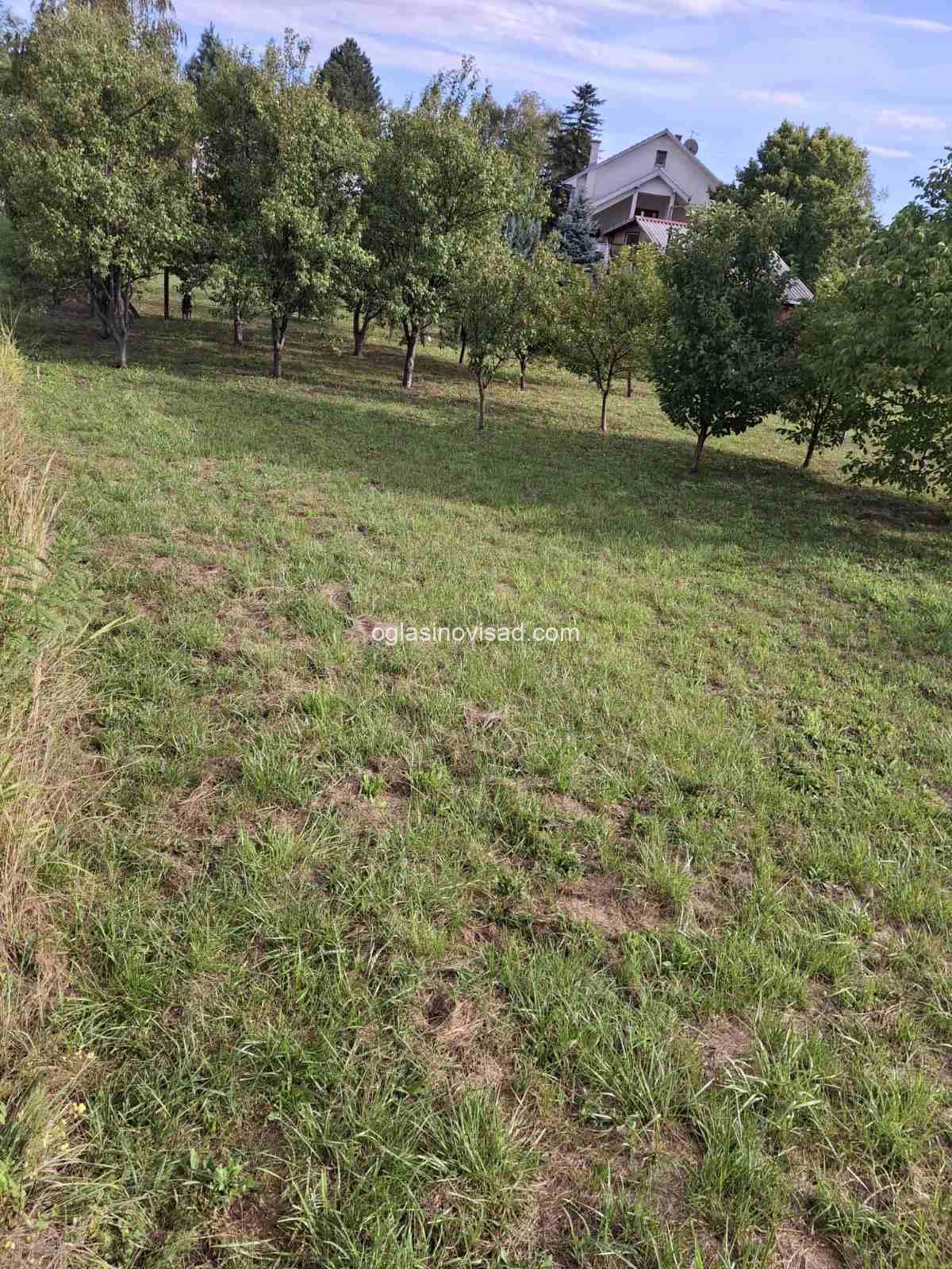 1000118522