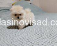 2 Boo NJ1025
