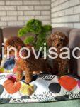 viber_image_2025-10-24_23-55-53-895