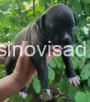 viber_slika_2025-10-02_10-44-52-288