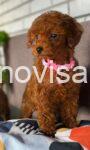 viber_image_2025-10-24_23-49-47-058