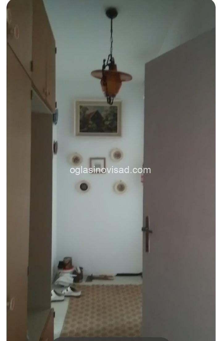 1000061832