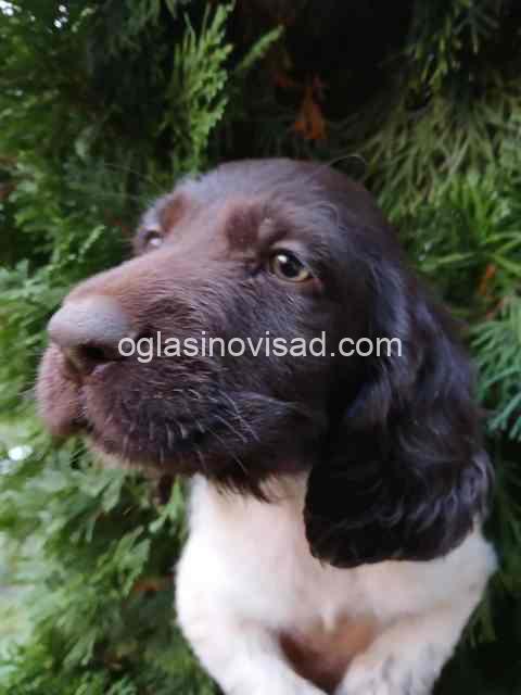 minsterlender 01a