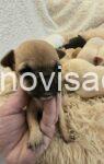 2  civavaB1125