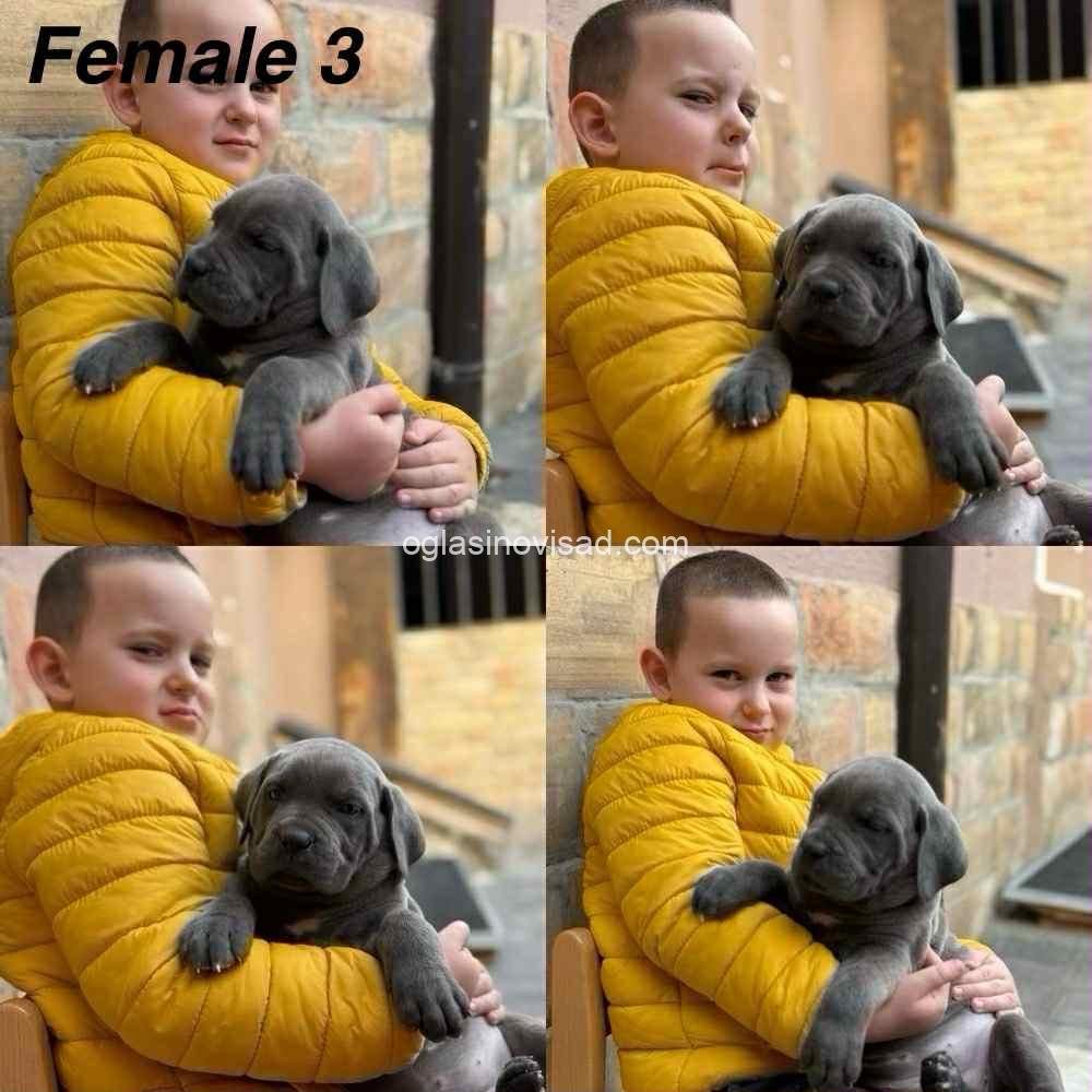 6ff8eb54-29a7-4bb7-83bd-c87302e1b89a