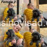 40e91775-eab9-4693-96da-0cc217676fc0