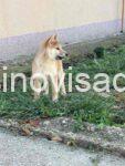 viber_image_2025-12-07_14-56-30-844
