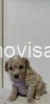 31ba878e-3b36-4840-9245-e8e77234e97a