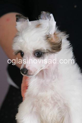0abf3904d-b864-4f68-aa40-db1d08f7f137