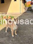 viber_image_2025-12-07_14-56-31-079