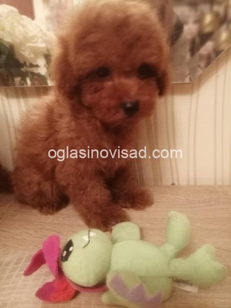 viber_slika_2025-06-24_14-14-58-014