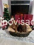 89721814-dec7-4627-981c-d243fb910cf8