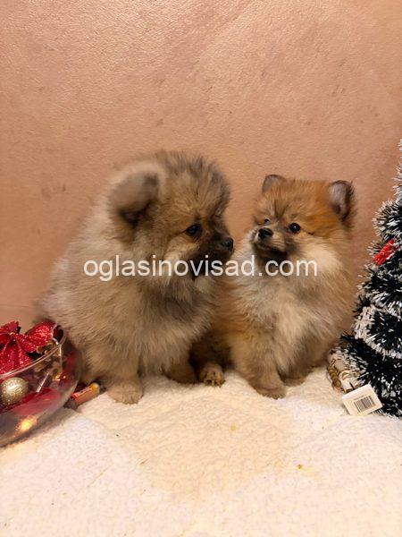 viber_image_2025-12-08_20-34-51-305