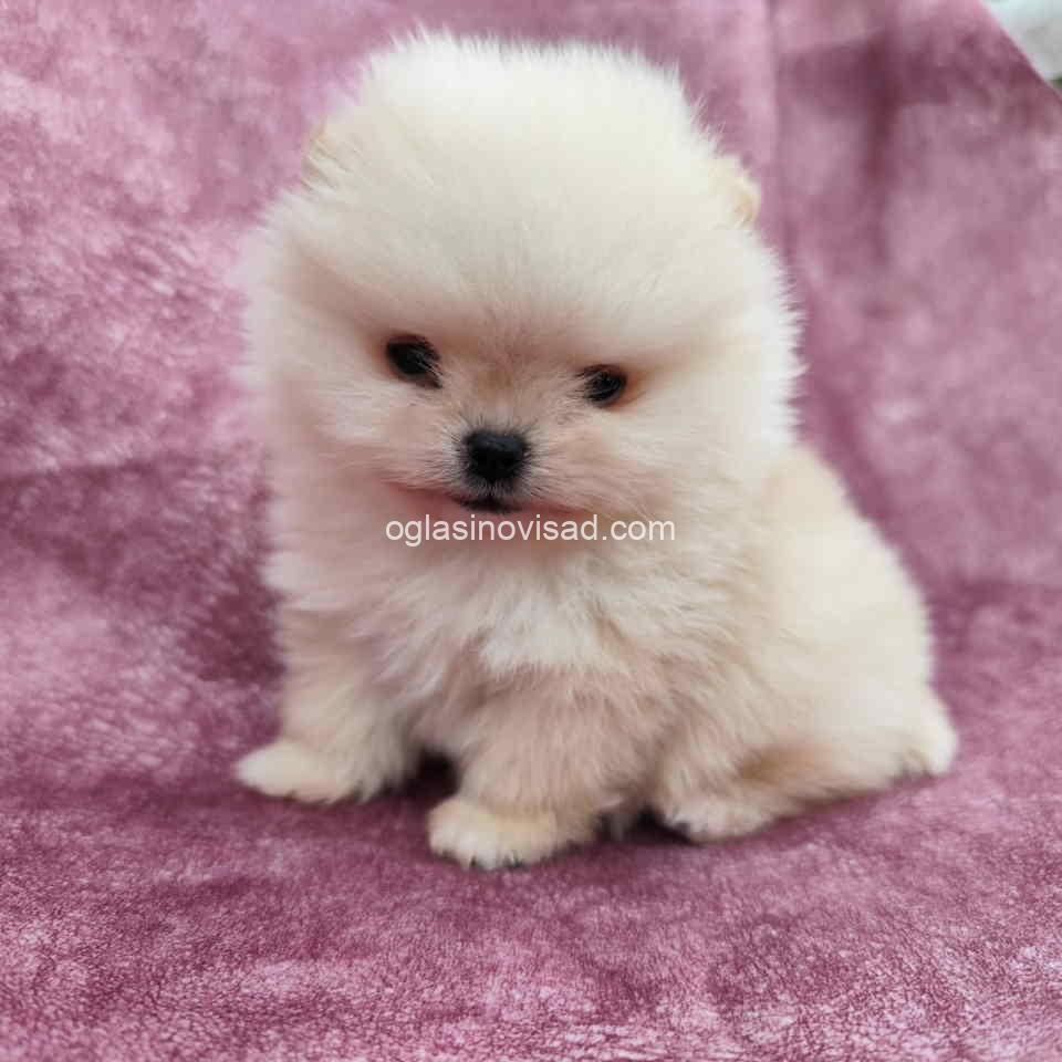 boo4