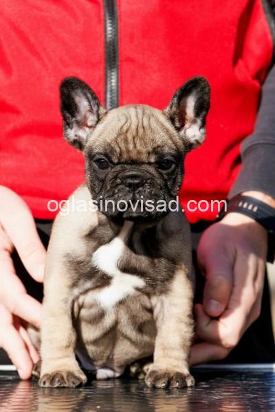 57094_2025122341